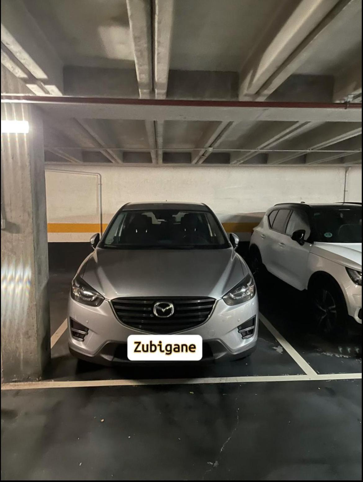 Zubigane Apartamento Junto A La Ria & Parking Bilbao Eksteriør billede